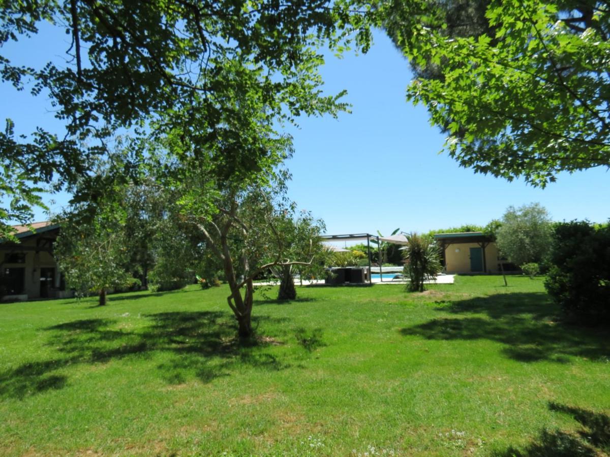 Les Hortensias Caumont-sur-Garonne المظهر الخارجي الصورة